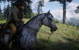 Game Pemain Tunggal Berbasis Kesenangan