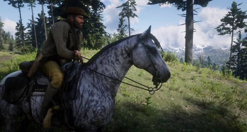 Game Pemain Tunggal Berbasis Kesenangan